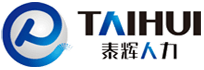 泰輝人(rén)力